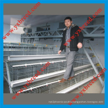 Top Quality a Type Layer Cages